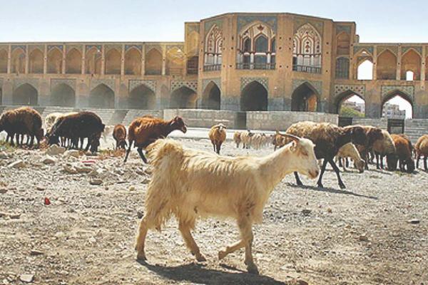 مسئولان بی کفایت, اصفهان, زاینده رود