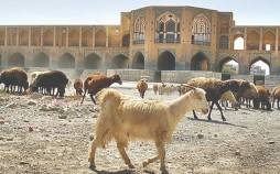 مسئولان بی کفایت, اصفهان, زاینده رود