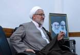 اخبار سیاسی,خبرهای سیاسی,اخبار سیاسی ایران,محمد ابراهیم نکونام