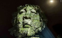 عکس هنرخیابانی در جنگل آمازون,تصاویرهنرخیابانی در جنگل آمازون, تصویرهنرخیابانی به روش نوین