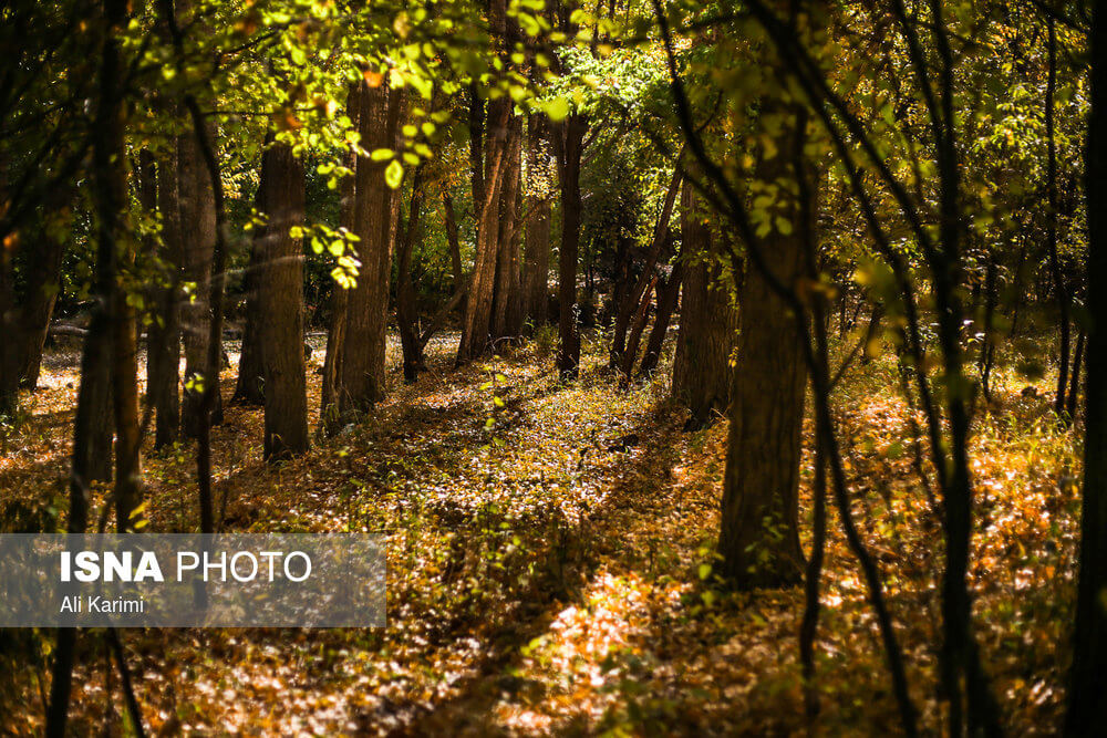 تصاویر طبیعت پاییزی روستا,عکس های روستای وفس از شمال به ساوه, تصاویر فصل پاییز مناظر زیبا