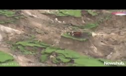 فیلم | صحنه‌ای عجیب ؛ اسارت سه گاو در یک جزیره کوچک پس از زلزله نیوزلند