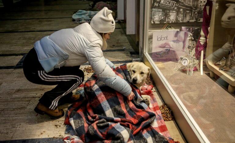 اخبار جالب,خبرهای جالب,خواندنی ها و دیدنی ها,مراقبت از سگهای بی خانمان در سرمای ترکیه