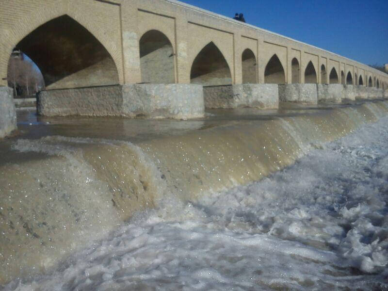 اخبار اجتماعی,خبرهای اجتماعی,محیط زیست,سد زاینده‌رود