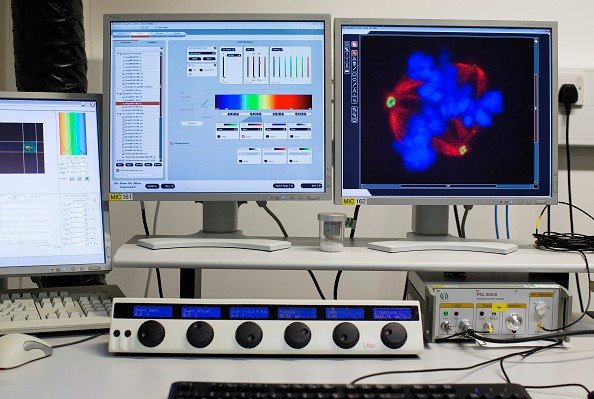 اخبار پزشکی,خبرهای پزشکی,تازه های پزشکی,ژنتیک