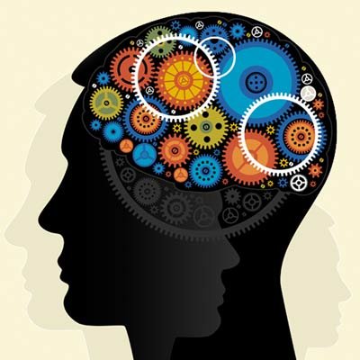 اخبار پزشکی,خبرهای پزشکی,تازه های پزشکی,مکانیز مغز