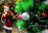 اخبار اجتماعی,خبرهای اجتماعی,محیط زیست,گردشگران کریسمس