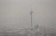 اخبار اجتماعی,خبرهای اجتماعی,محیط زیست,هوای آلوده تهران