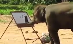 وقتی فیل ها هم نقاش می شوند!