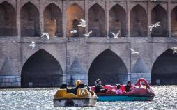 تصاویر بازگشت پرندگان مهاجر به زاینده رود, عکس های پرندگان مهاجر در اصفهان, عکس های بازگشت پرندگان مهاجر به زاینده رود