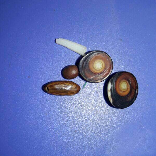 اخبار جالب,خبرهای جالب,خواندنی ها و دیدنی ها,خرید و فروش های عجیب و غریب در فضای مجازی