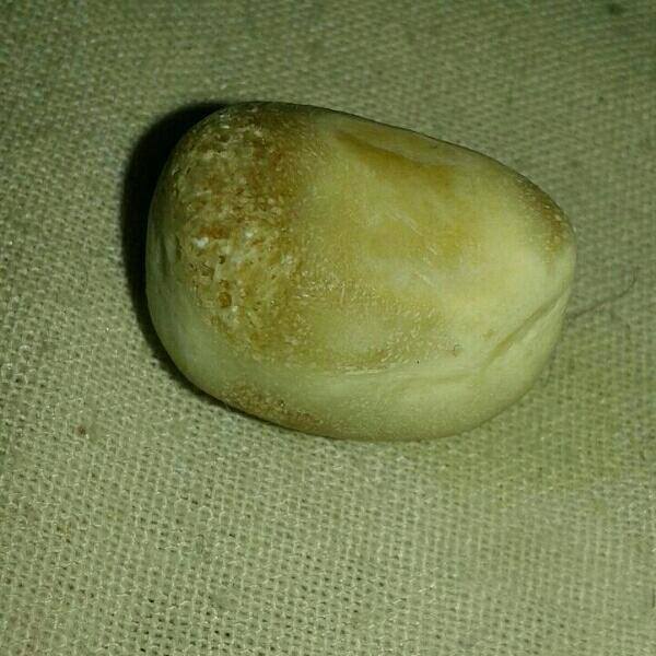 اخبار جالب,خبرهای جالب,خواندنی ها و دیدنی ها,خرید و فروش های عجیب و غریب در فضای مجازی