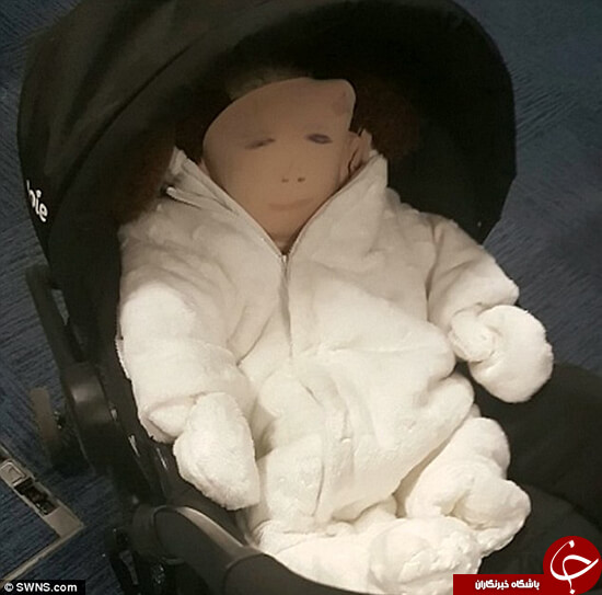 اخبار جالب,خبرهای جالب,خواندنی ها و دیدنی ها,دزدی جالب