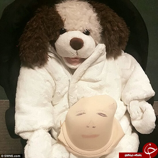 اخبار جالب,خبرهای جالب,خواندنی ها و دیدنی ها,دزدی جالب