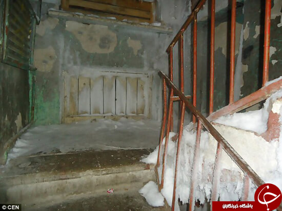 اخبار جالب,خبرهای جالب,خواندنی ها و دیدنی ها,سرمای شدید هوا