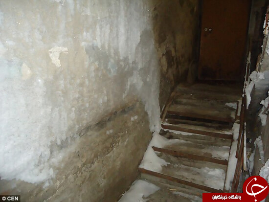 اخبار جالب,خبرهای جالب,خواندنی ها و دیدنی ها,سرمای شدید هوا