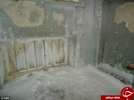 اخبار جالب,خبرهای جالب,خواندنی ها و دیدنی ها,سرمای شدید هوا