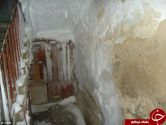 اخبار جالب,خبرهای جالب,خواندنی ها و دیدنی ها,سرمای شدید هوا