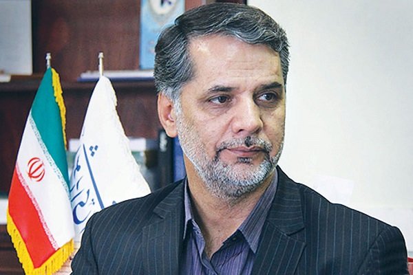 اخبار سیاسی,خبرهای سیاسی,مجلس,سیدحسین نقوی حسینی