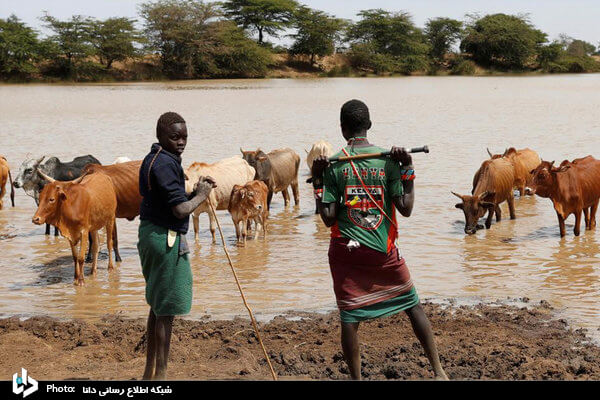 تصاویر خشکسالی شدید و رقابت های سیاسی در کنیا, عکس های خشکسالی در کنیا, عکس های خشکسالی در چراگاه های کنیا