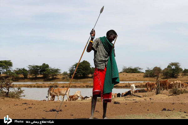 تصاویر خشکسالی شدید و رقابت های سیاسی در کنیا, عکس های خشکسالی در کنیا, عکس های خشکسالی در چراگاه های کنیا