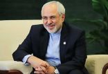 اخبار سیاسی,خبرهای سیاسی,احزاب و شخصیتها,محمدجواد ظریف