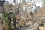 اخبار اجتماعی,خبرهای اجتماعی,شهر و روستا,آتش زدن درخت‌های ۲ باغ در شمال تهران