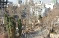 اخبار اجتماعی,خبرهای اجتماعی,شهر و روستا,آتش زدن درخت‌های ۲ باغ در شمال تهران