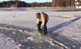  تفریح جالب مردم فنلاند در روزهای سرد زمستان