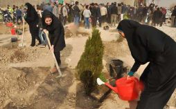 تصاویر هفته درختکاری در اصفهان,عکس های حضور مادران شهدا در روز درختکاری,عکس درختکاری در اصفهان