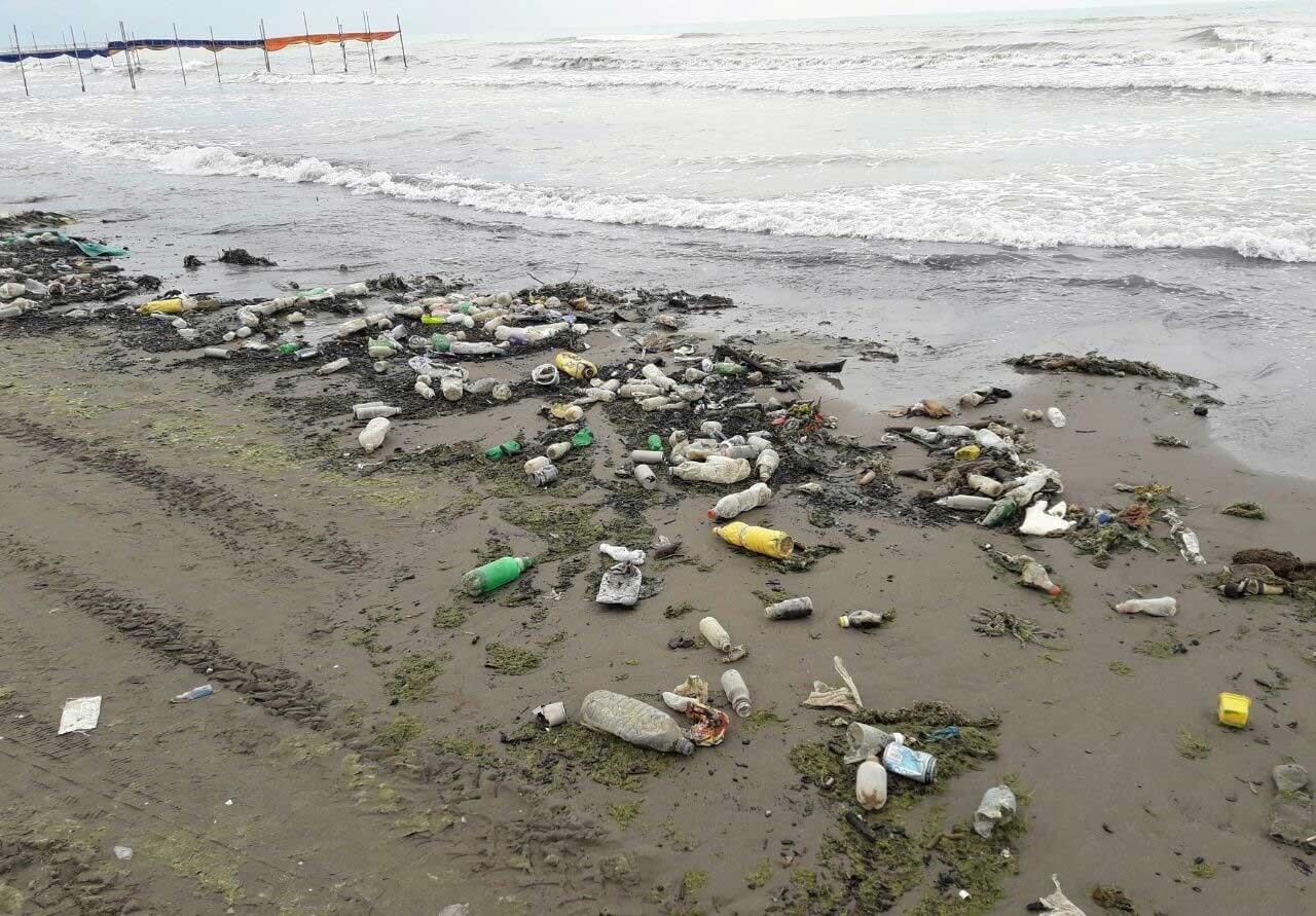 اخبار علمی,خبرهای علمی,اختراعات و پژوهش,انباشت زباله در سواحل