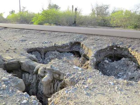 اخبار اجتماعی,خبرهای اجتماعی,محیط زیست,دشت میناب