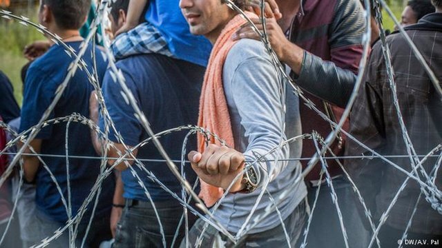 اخبار سیاسی,خبرهای سیاسی,اخبار بین الملل,دیوار مانع عبور پناهجویان