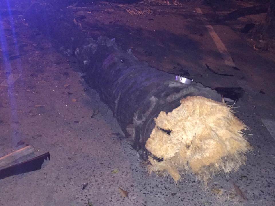 اخبار جالب,خبرهای جالب,خواندنی ها و دیدنی ها,تصادف سنگین لامبورگینی