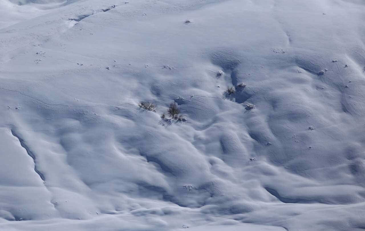 عکس های برف در طبیعت اردبیل,تصاویر طبیعت بکر اردبیل,عکس طبیعت اردبیل و برف