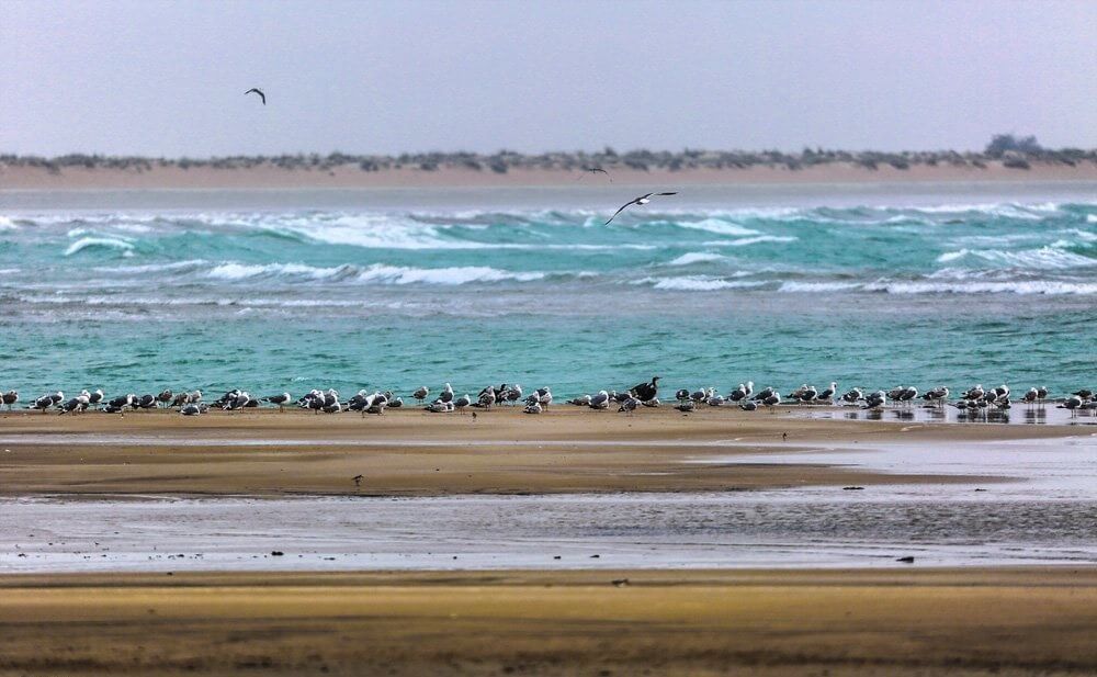 تصاویر خلیج گواتر, تصویر ساحل مکران, عکس دریای عمان