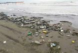 اخبار علمی,خبرهای علمی,اختراعات و پژوهش,انباشت زباله در سواحل