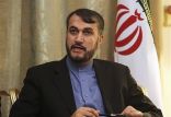 اخبار سیاسی,خبرهای سیاسی,اخبار سیاسی ایران,حسین امیرعبداللهیان