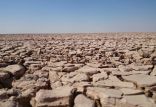 اخبار اجتماعی,خبرهای اجتماعی,محیط زیست,تالاب جازموریان