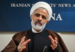 اخبار سیاسی,خبرهای سیاسی,دولت,مجید انصاری