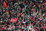اخبار فوتبال,خبرهای فوتبال,لیگ برتر و جام حذفی,هواداران پرسپولیس