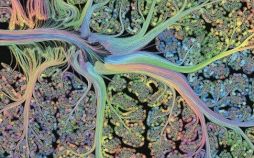 عکس های اسکن های مغزی پیشرفته,تصاویر اسکن های مغزی پیشرفته,عکس های زیبا ا ز مغز انسان