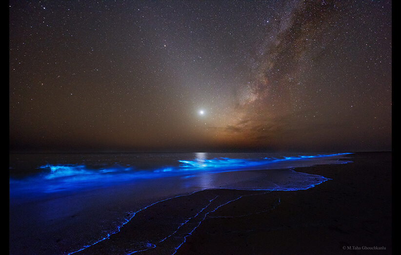 اخبار علمی,خبرهای علمی,نجوم و فضا,ساحل ایرانی دریای عمان