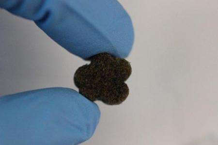 اخبار پزشکی,خبرهای پزشکی,تازه های پزشکی,فوم زیست فعال