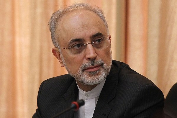اخبار سیاسی,خبرهای سیاسی,دولت,علی اکبر صالحی