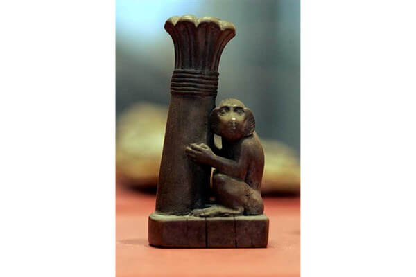 اخبار جالب,خبرهای جالب,خواندنی ها و دیدنی ها,بابون، حیوان هوشمند مصریان باستان برای گرفتن مجرمان + تصاویر