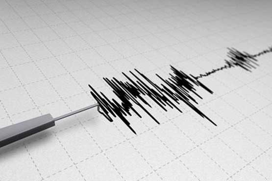 اخبار علمی,خبرهای علمی,پژوهش,اقدامات حین زلزله