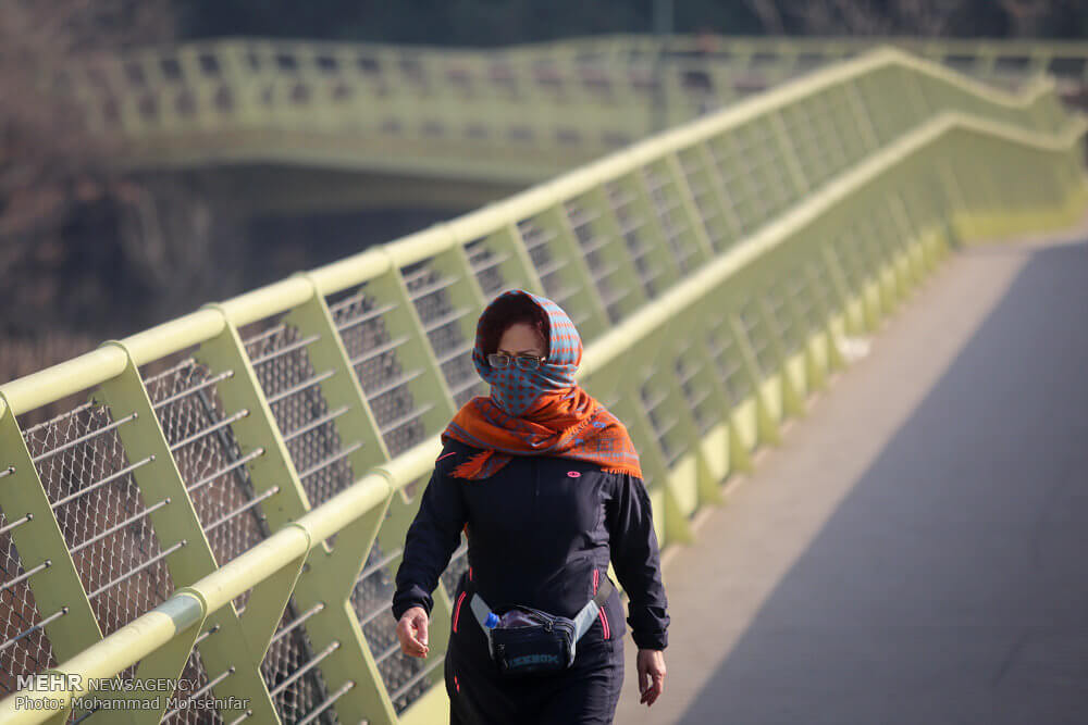 اخبار پزشکی,خبرهای پزشکی,تازه های پزشکی,افزایش ریسک سرطان سینه با آلودگی هوا