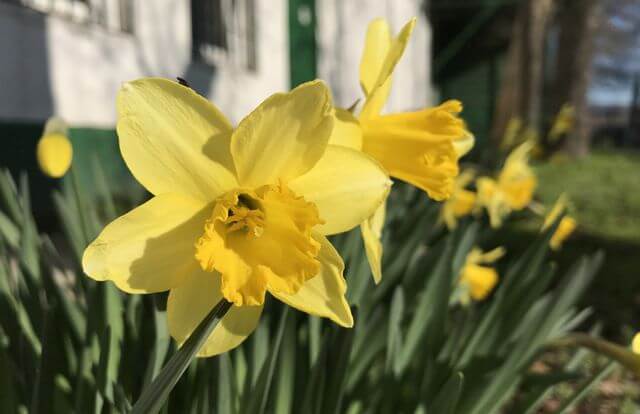 اخبار دیجیتال,خبرهای دیجیتال,موبایل و تبلت,موبایل