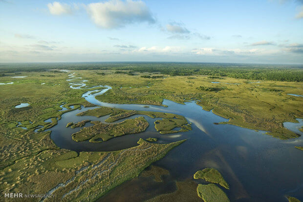 اخبار علمی,خبرهای علمی,طبیعت و محیط زیست,رودهای آمریکا